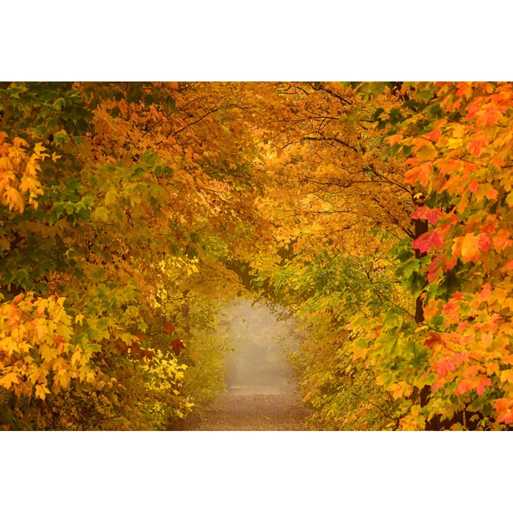 Laeacco, Осенний фон для фотосъемки с кленовыми листьями, Желтый туннельный пейзаж, Естественное время года, Портретный фон для детей и взрослых . ' - ' . 3